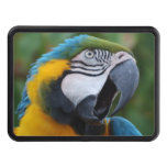 Squawking Parrot Tow Hitch Cover
