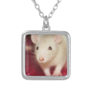 Squeek necklace