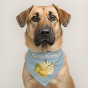 Squeeze the Day Citrus blue personalized Dog Pet Bandana Collar