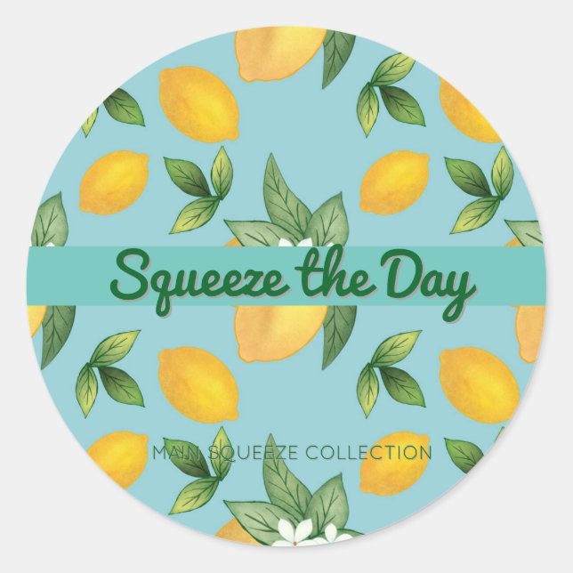 Squeeze the Day Lemon Motivational Citrus Decor  Classic Round Sticker (Front)