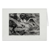 Squid (Front Horizontal)