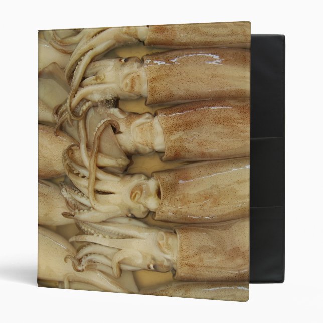 Squid - Calamari 3 Ring Binder (Front/Inside)