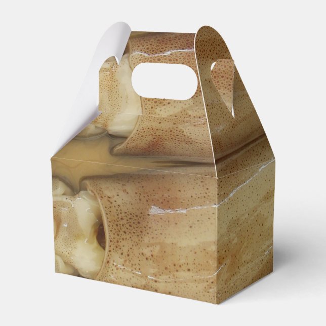 Squid - Calamari Favor Boxes (Front Side)