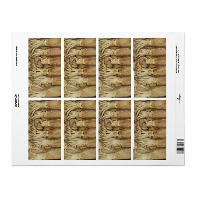 Squid - Calamari Label (Full Sheet)