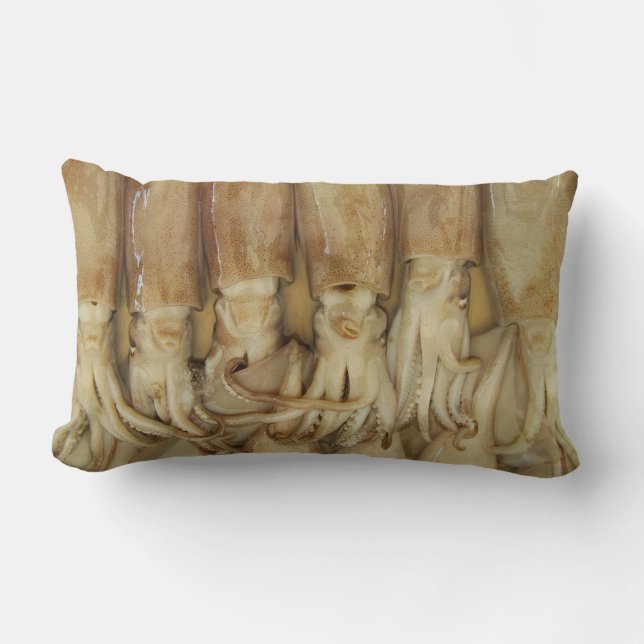 Squid - Calamari Lumbar Pillow (Front)