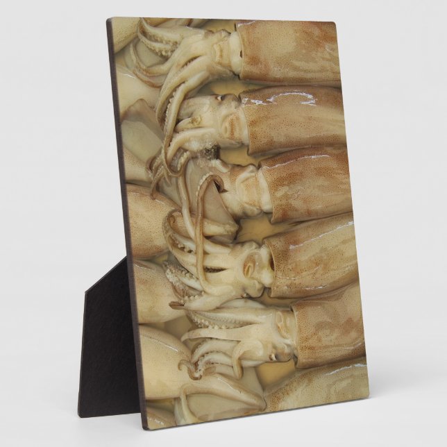 Squid - Calamari Plaque (Side)