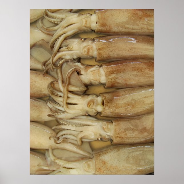 Squid - Calamari Poster (Front)