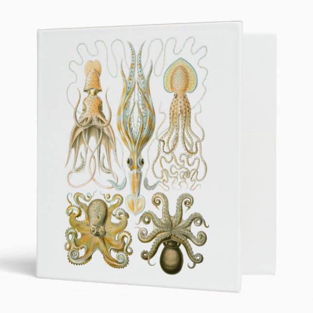Squid & Octopus 3 Ring Binder (Front/Inside)