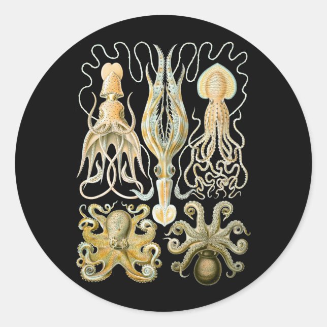 Squid & Octopus Classic Round Sticker (Front)