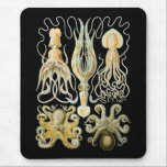 Squid & Octopus Mouse Pad<br><div class="desc">Gamochonia An old grouping of squids and octopods (NOT octopuses or octopi).</div>