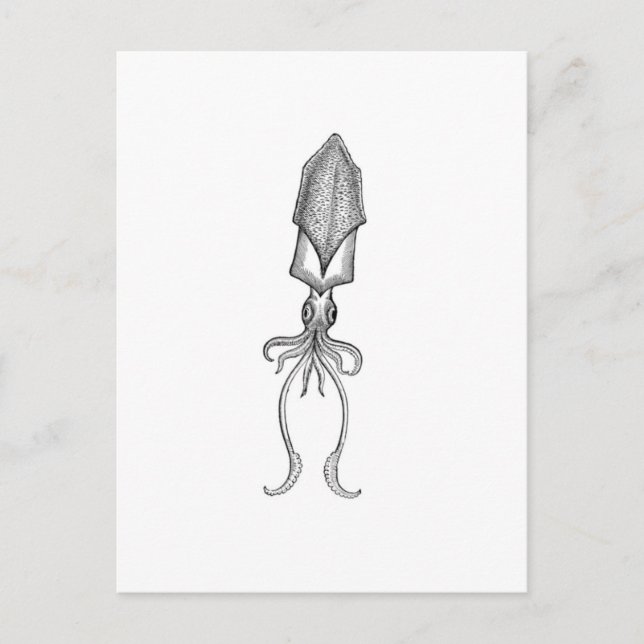 Squid Postcard (Front)