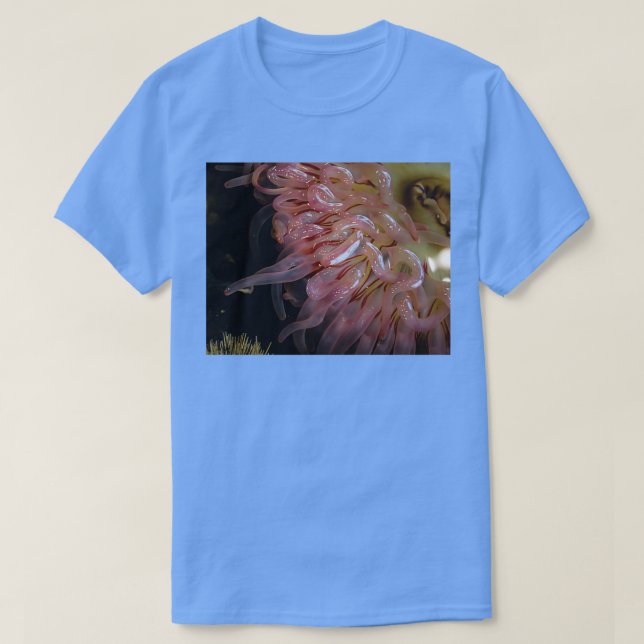 squiggly T-Shirt (Design Front)