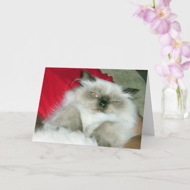 Squinty Himmy Card (Orchid)