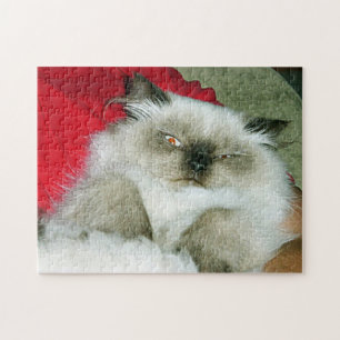 Squinty Himmy Jigsaw Puzzle