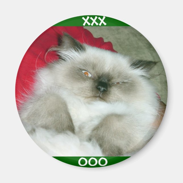 Squinty Himmy Magnet (Front)