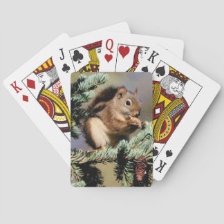 Squirell Playing Cards