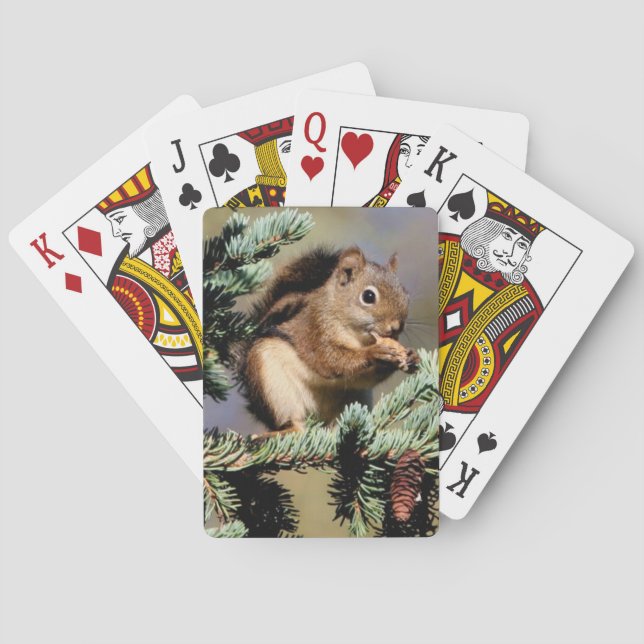 Squirell Playing Cards (Back)
