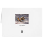 Squirrel (Back Horizontal)