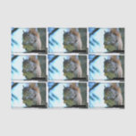 squirrel-13.jpg tissue paper
