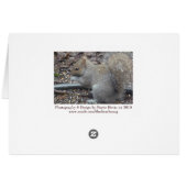 Squirrel (1a) - I'm Nuts About You! - Customizable Cards (Back Horizontal)