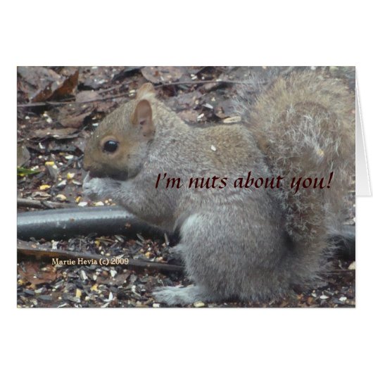 Squirrel (1a) - I'm Nuts About You! - Customizable Cards (Front Horizontal)