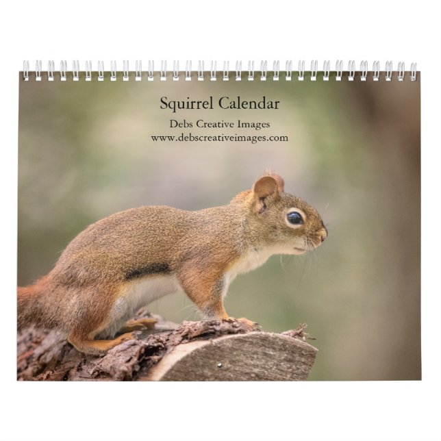 Squirrel 2026 Calendar – Wildlife Photography (Cover)