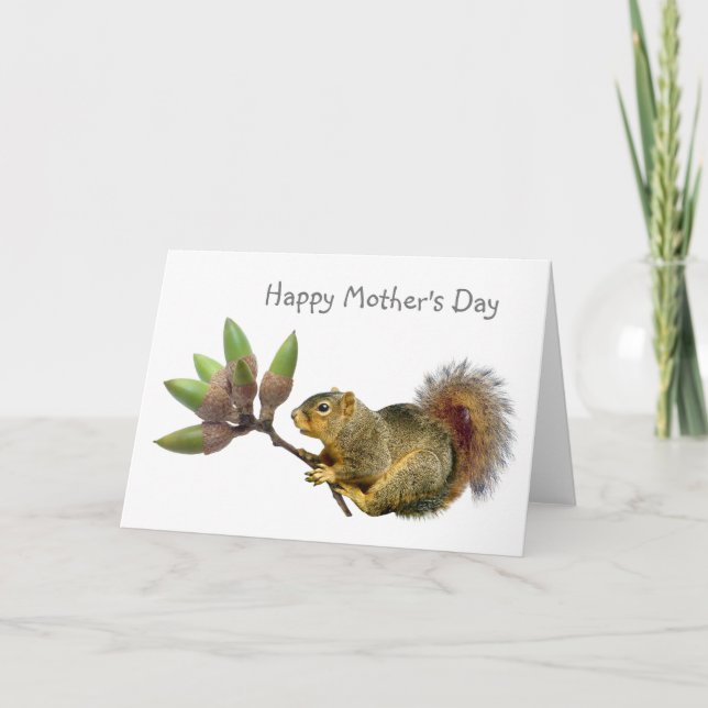 Squirrel Acorn Bouquet Mother's Day Card (Front)