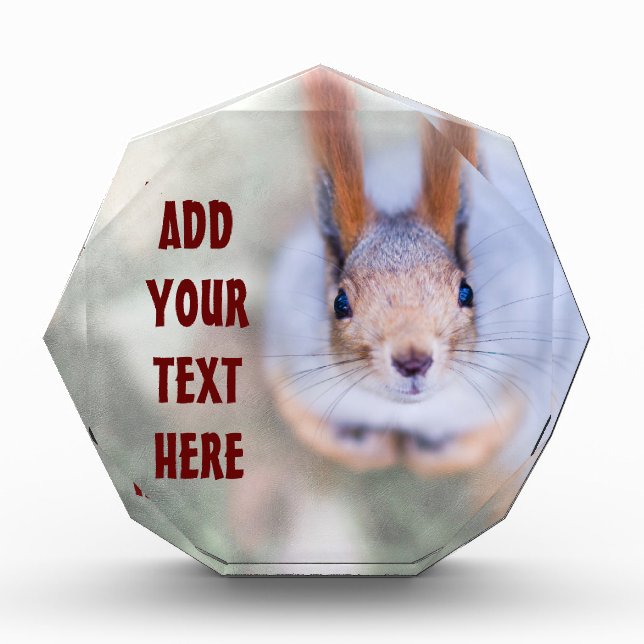 Squirrel acrylic award (Front)