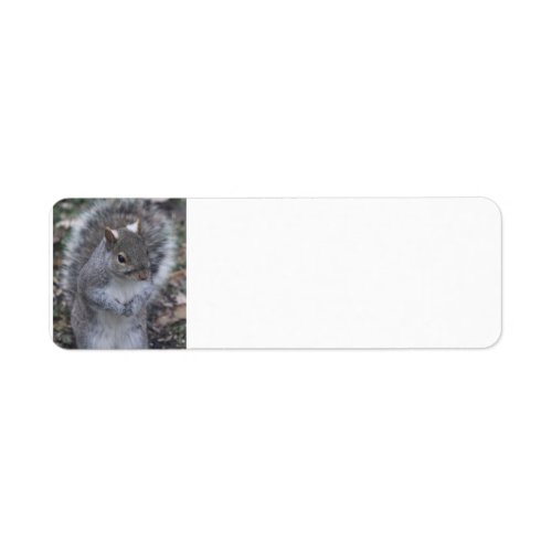 Squirrel Address labels