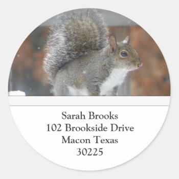 Squirrel Address Labels by KELLBELL535 at Zazzle