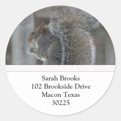 Squirrel Address Labels