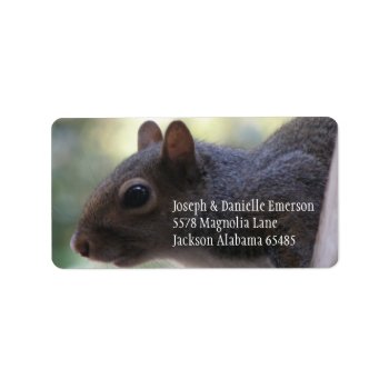Squirrel Address Sticker by KELLBELL535 at Zazzle