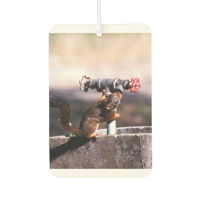 Squirrel airfreshener car air freshener (Front)