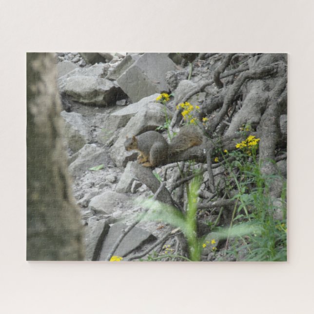 Squirrel along a creek bank jigsaw puzzle (Horizontal)