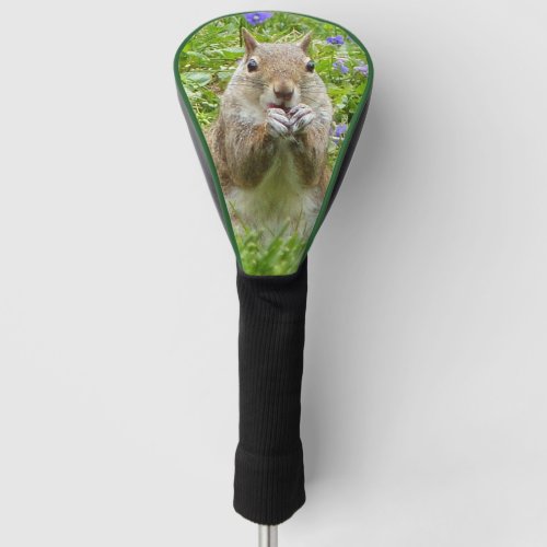 Squirrel Amongst Wild Violets Golf Head Cover