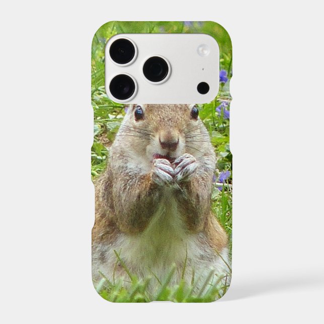 Squirrel Amongst Wild Violets Iphone Case (Back)