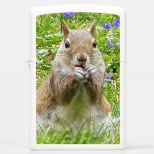 Squirrel Amongst Wild Violets Zippo Lighter