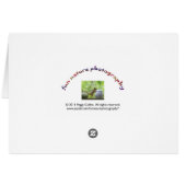 Squirrel and Coffee Cup Cards (Back Horizontal)