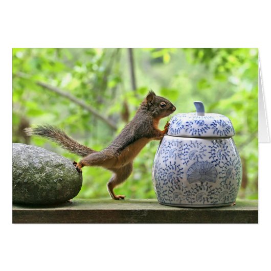 Squirrel and Cookie Jar Cards (Front Horizontal)