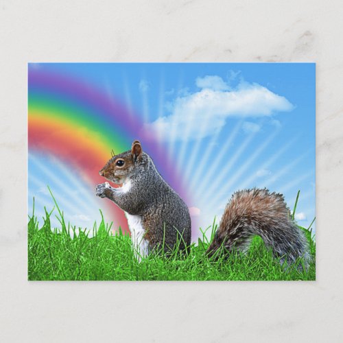 Squirrel and Rainbow Sky Postcard
