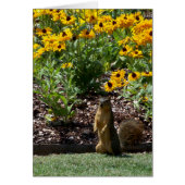 Squirrel and Sunflowers (Front)