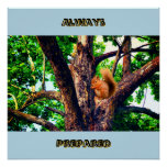 Squirrel Animal Poster