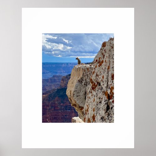 Squirrel at Grand Canyon National Park North Rim Poster