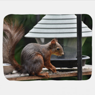 Squirrel at the Bird Feeder Baby Blanket