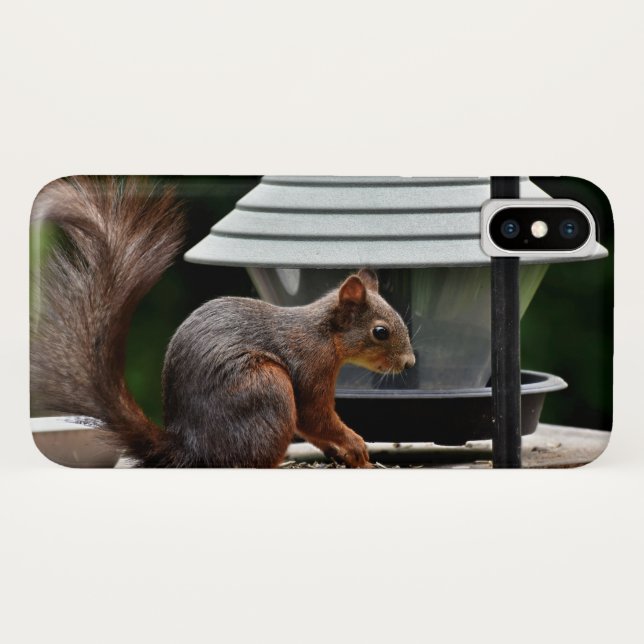 Squirrel at the Bird Feeder Case-Mate iPhone Case (Back (Horizontal))