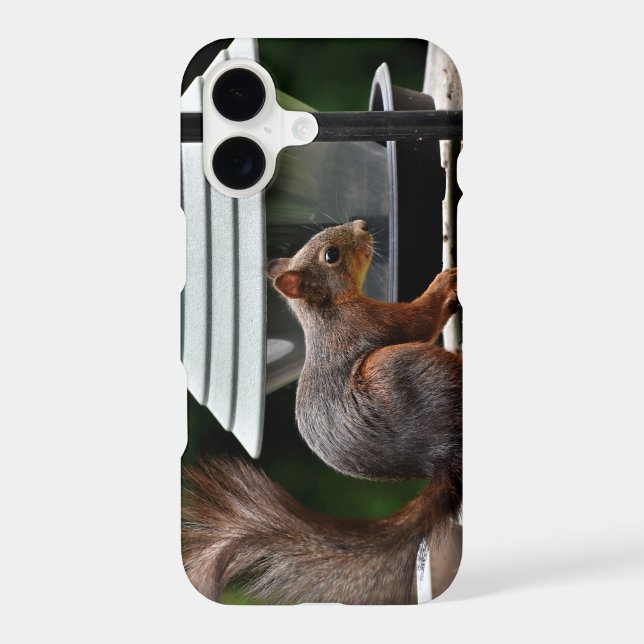 Squirrel at the Bird Feeder Iphone Case (Back)