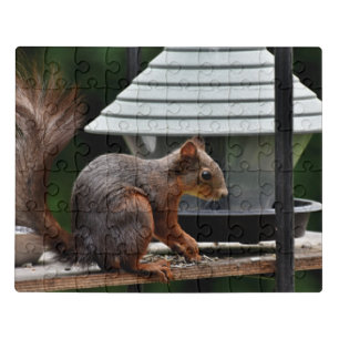 Squirrel at the Bird Feeder Jigsaw Puzzle