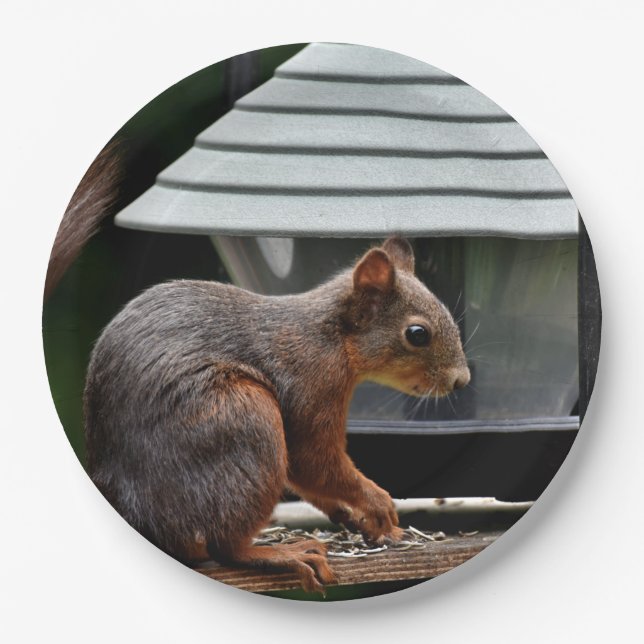 Squirrel at the Bird Feeder Paper Plates (Front)