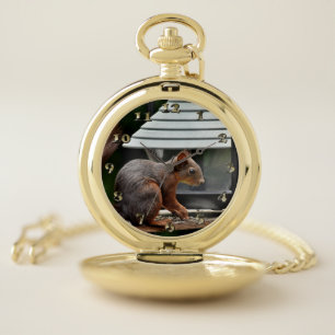 Squirrel at the Bird Feeder Pocket Watch