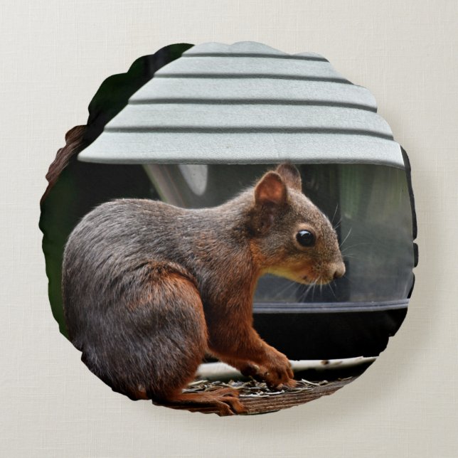 Squirrel at the Bird Feeder Round Pillow (Front)